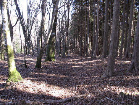 20190121hike (130)